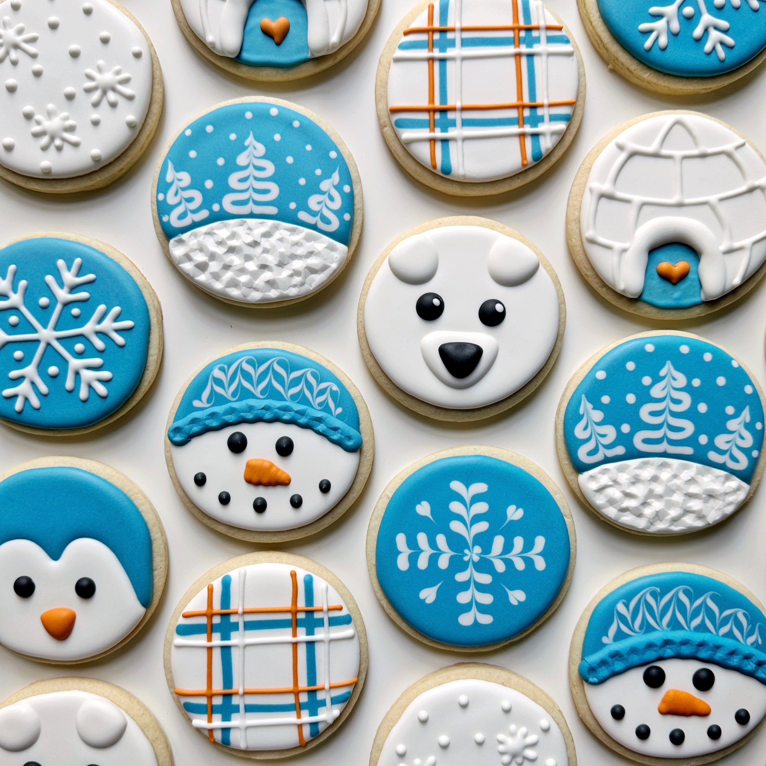 Beginner Winter Online Cookie Decorating Class The Graceful Baker Shop   IMG 85572 